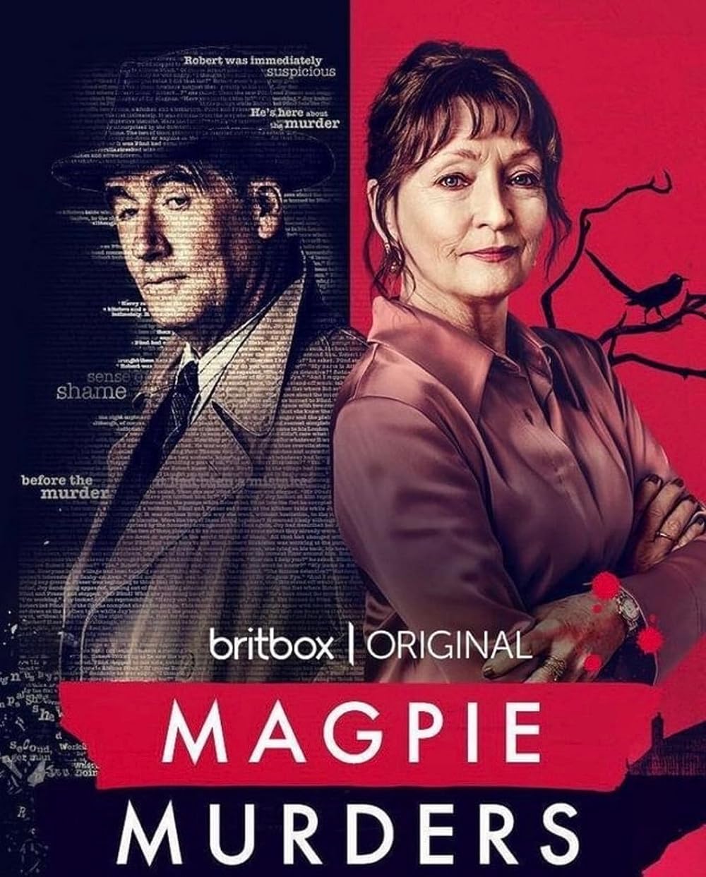 Magpie Murders (Tv Series 2022– ) - Imdb