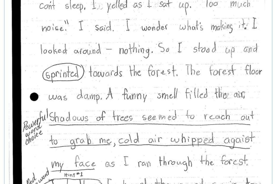 Narrative Writing Sample- Grade 2