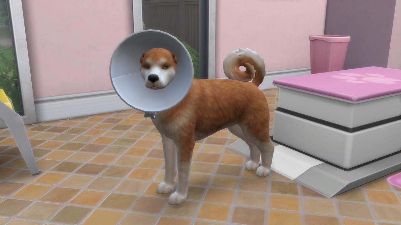 how-to-prevent-your-sims-4-pets-from-being-taken-away