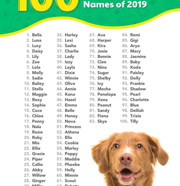 Top 100 Most Popular Dog Names In 2022 | Rover.Com | Female Dog Names,  Puppies Names Female, Best Dog Names
