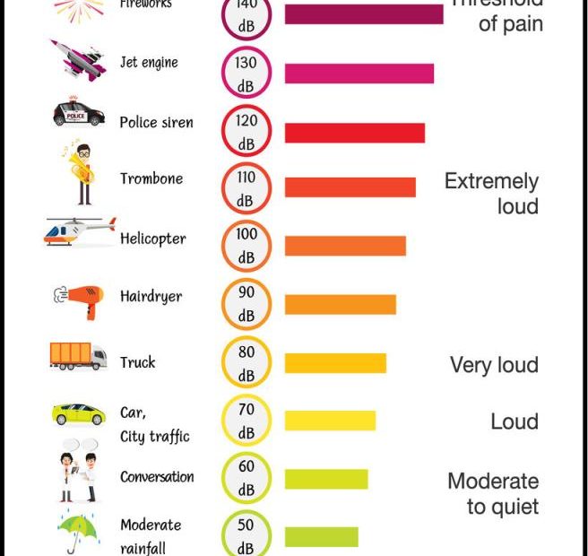 Do Dogs Hear 7 Times Louder Than Humans? Exploring Canine Auditory ...