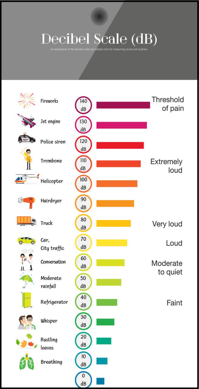 Do Dogs Hear 7 Times Louder Than Humans? Exploring Canine Auditory ...