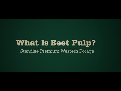 What is Beet Pulp?