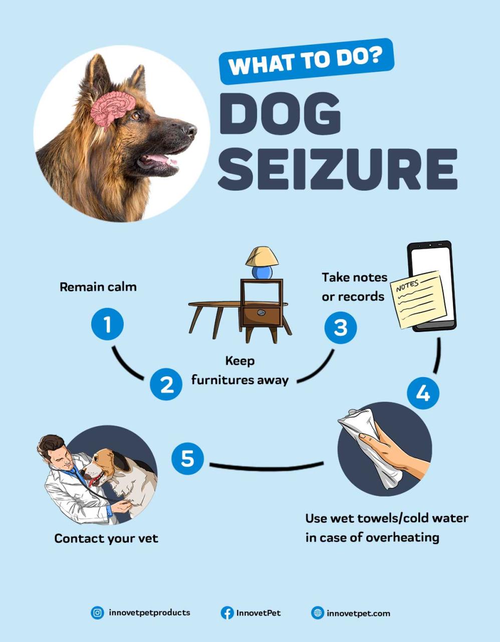 What Does A Partial Seizure Look Like In Dogs: Unveiling Canine Health