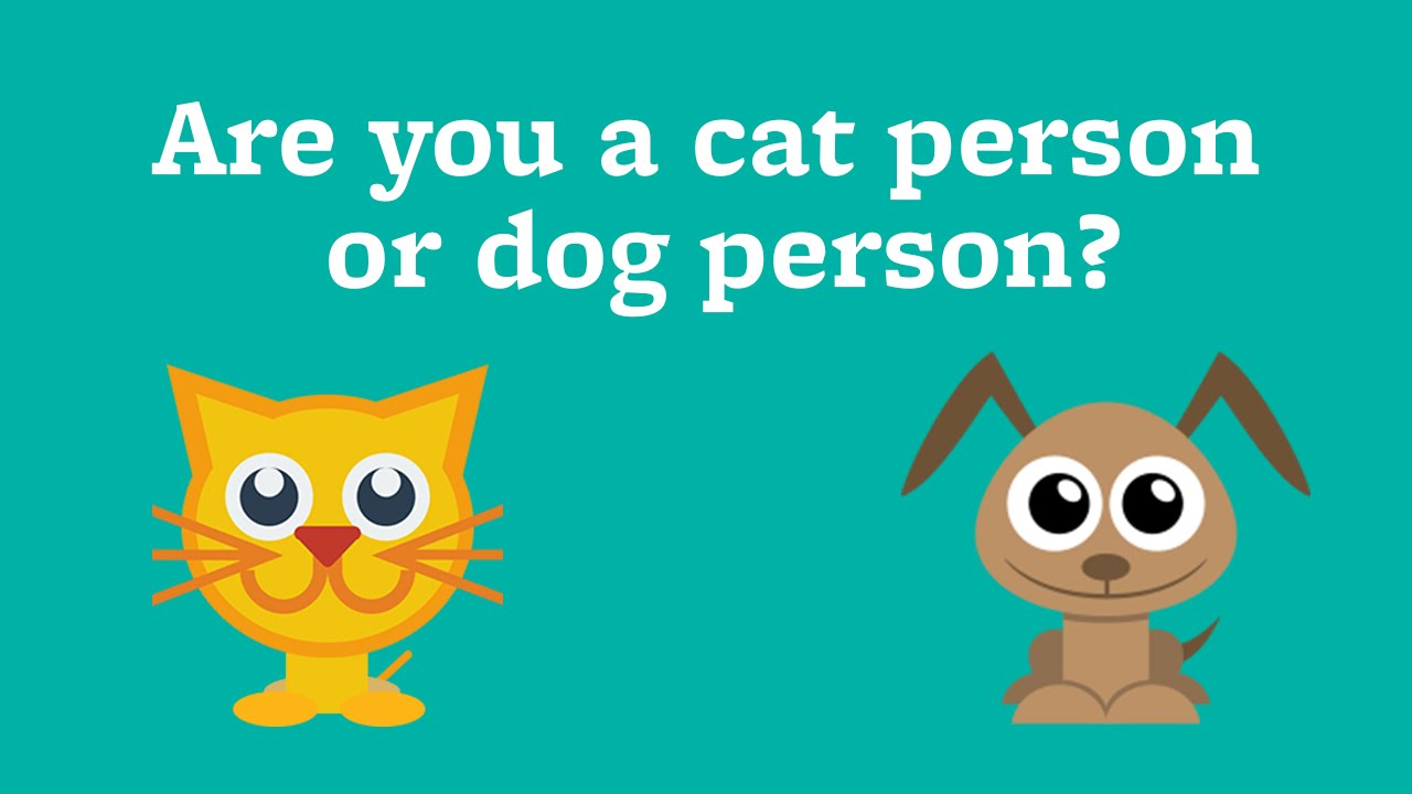 Are You A Cat Person Or Dog Person? - Youtube