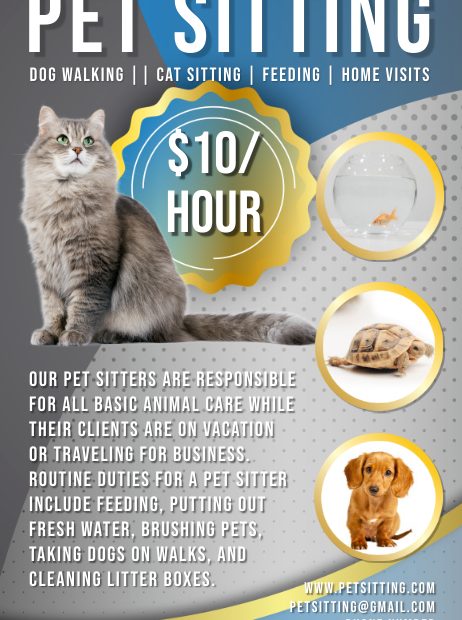 Pet Sitter Flyer Template | Postermywall