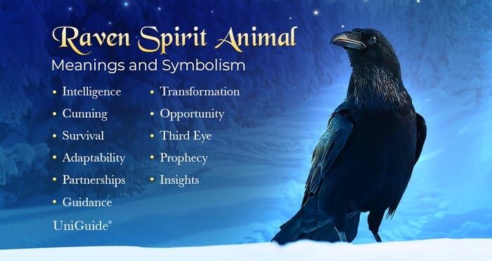 Raven Symbolism & Meaning & The Raven Spirit Animal | Uniguide