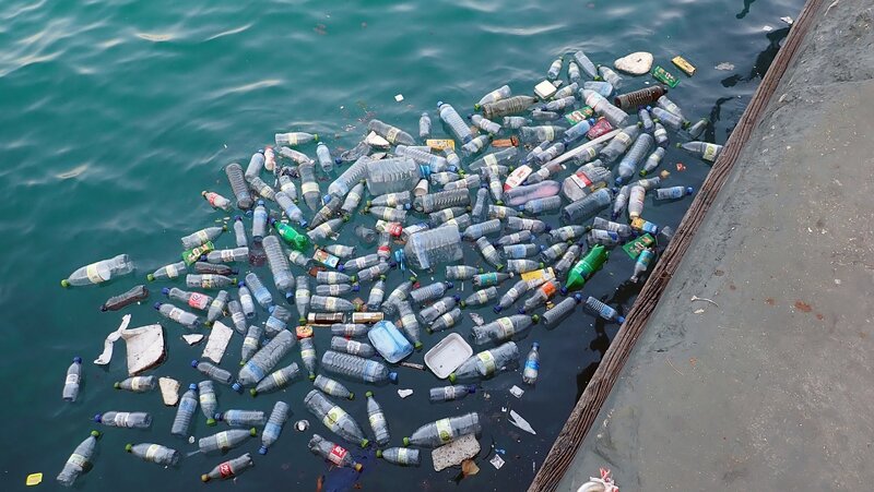 Ocean Acidification Linked To Plastic Pollution: Study | Earth.Org