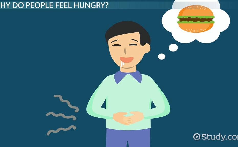 Hunger | Overview & Causes - Video & Lesson Transcript | Study.Com