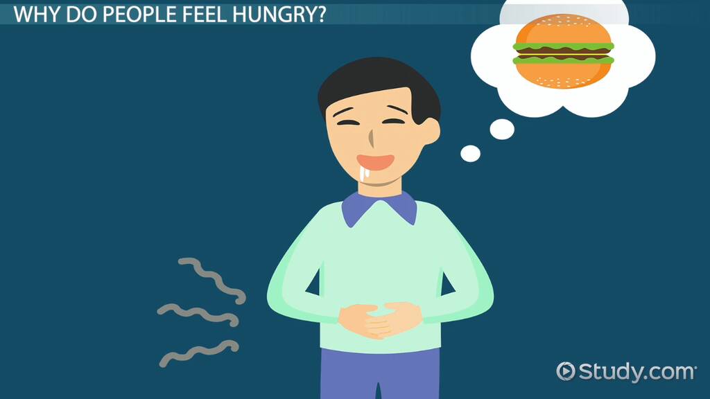 Hunger | Overview & Causes - Video & Lesson Transcript | Study.Com